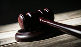 地方新闻精选 | 大连涉107亿元非法集资案宣判 中华白海豚误入珠江内河被救助