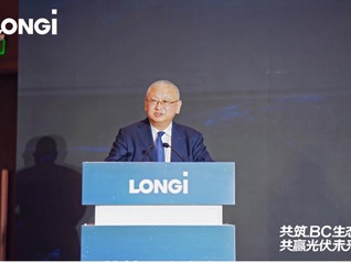 从技术突破到生态共建，BC“众行者”领跑光伏革新