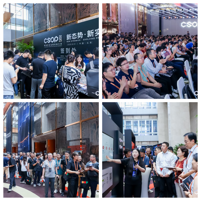 https://img2.jiemian.com/101/original/20250917/import_1758100391722920170010_a700xH.png