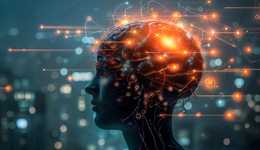 外国人来中国旅游，爱上“赛博朋克”