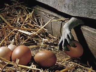 卢浮宫的失窃寓言