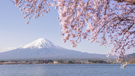 旅游业持续“高烧”，日本将上调外国游客签证费