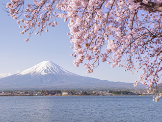 旅游业持续“高烧”，日本将上调外国游客签证费