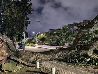 直通部委｜10月自然灾害致735.85万人次受灾 中央安全生产考核巡查正式启动