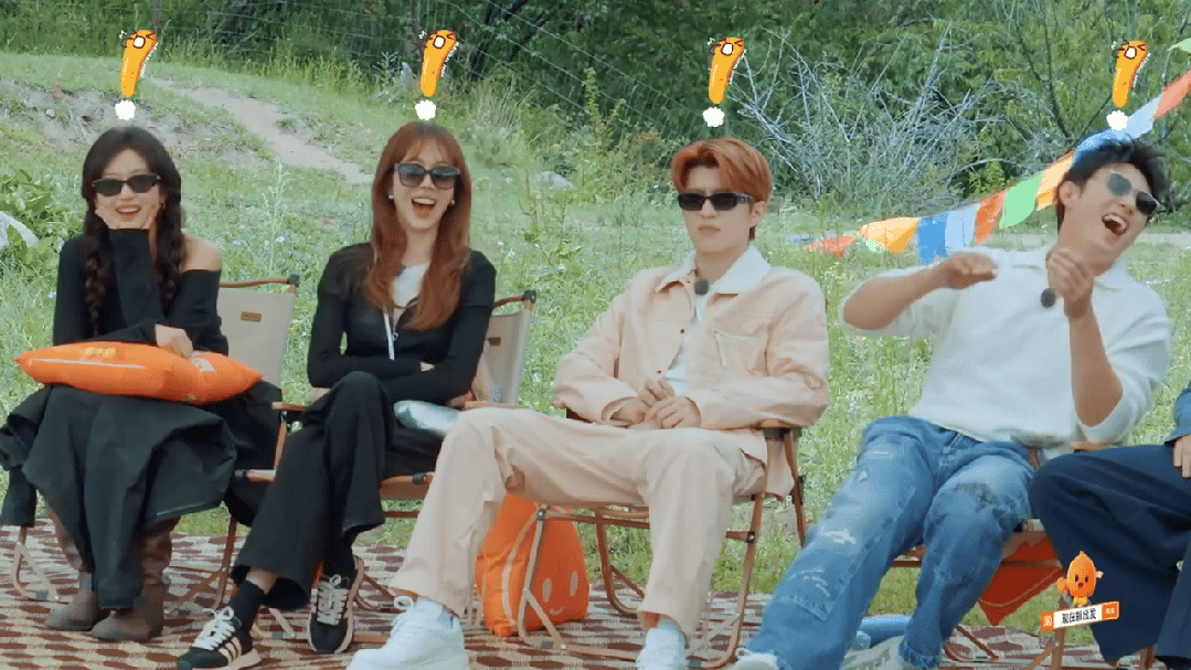 叔圈何以成为综艺新宠？揭秘背后的原因与魅力。