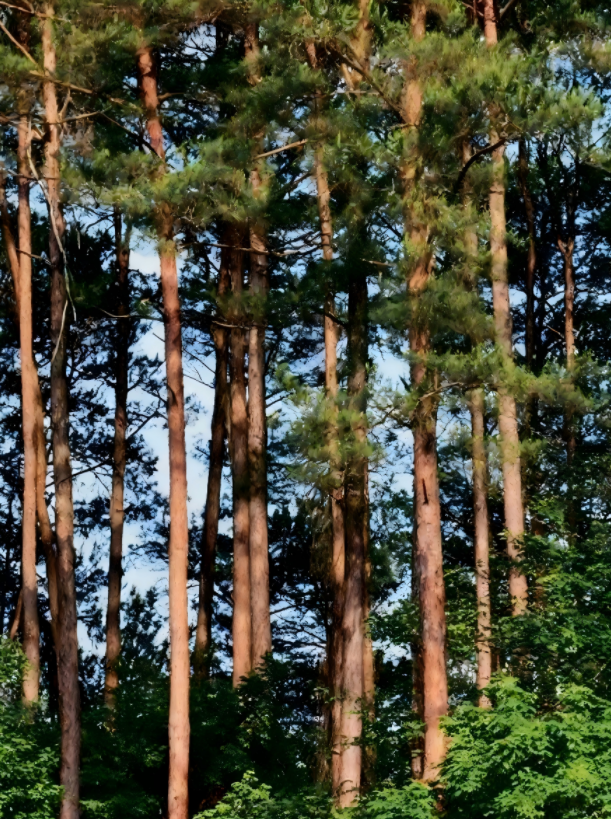 1762918677105621.png image.png