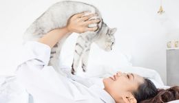 养宠三年，苦自己不能苦“孩子”