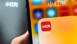小红书拿下支付牌照：没有抖音的命，却得做抖音的梦