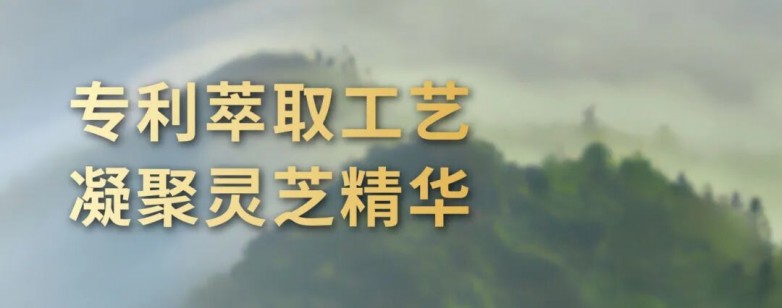 1763436020889070.jpg 13.jpg