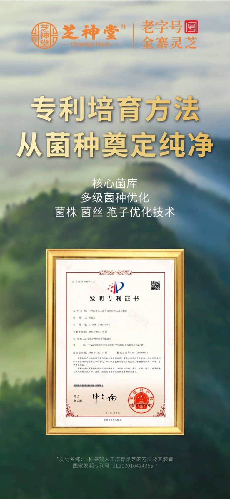 1763435887213030.jpg 5.jpg