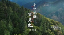 “时代光影 百部川扬”推荐展播作品 网络纪录片《探秘长江源》之金沙林海白月光