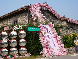 “苏北第一区”交出农文旅融合成绩单