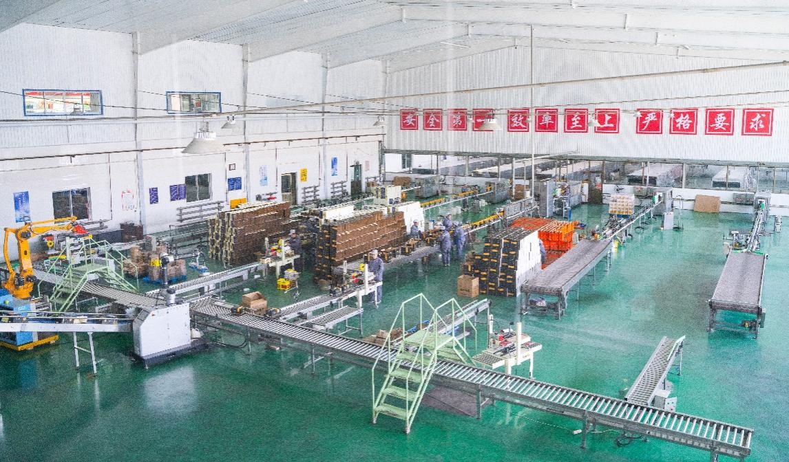 北漂返乡、日销千单:吕梁沙棘产业借拼多多实现人才、销量“双回流”