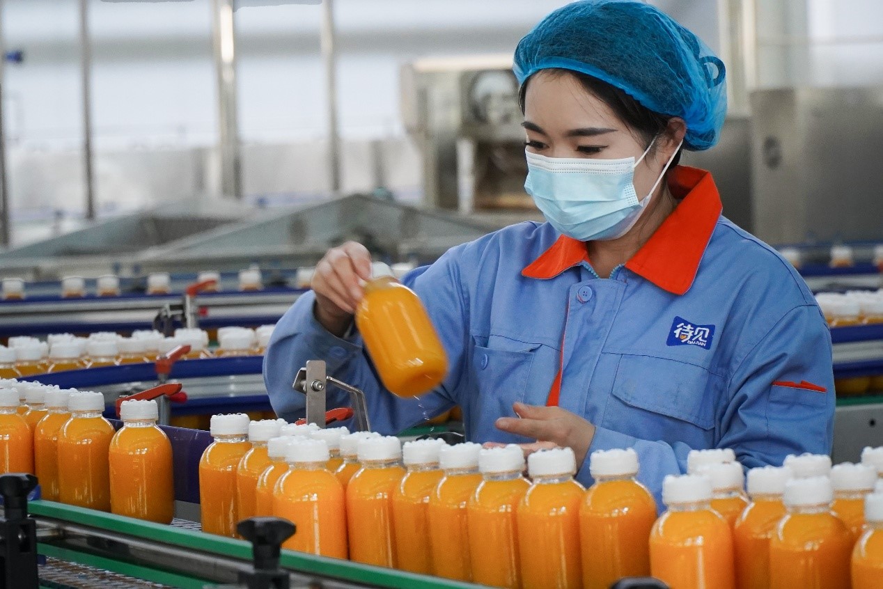 北漂返乡、日销千单:吕梁沙棘产业借拼多多实现人才、销量“双回流”