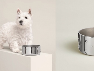 爱马仕新上架2万元不锈钢狗碗，客服：只剩少量库存