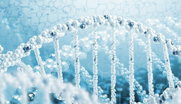 蹿红的PDRN，只发挥了一成功力？