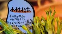 巴奴新菜品紧急更名，“水性杨花”改海菜花，店员称原菜名为云南当地叫法