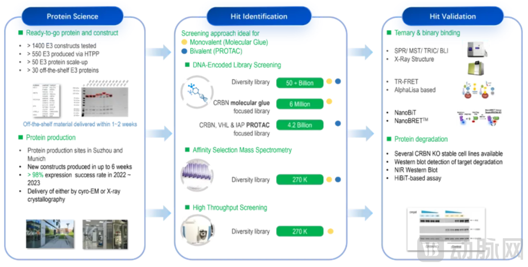 2025年MNC斥资超100亿美元扫货赛道揭秘