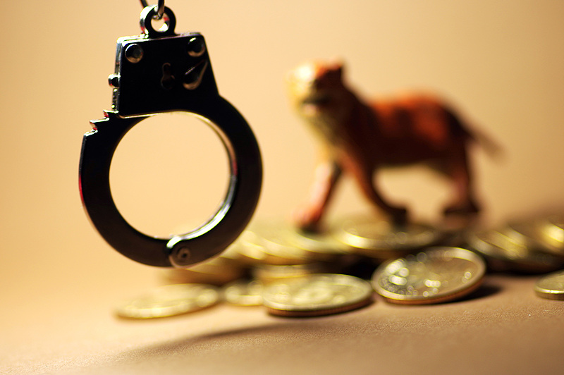 涉嫌严重违纪违法，成都市人大常委会原党组书记、主任包惠被查