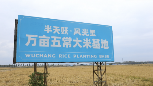 致富经养狗_致富经养狗成功例子_致富经养狗视频2018