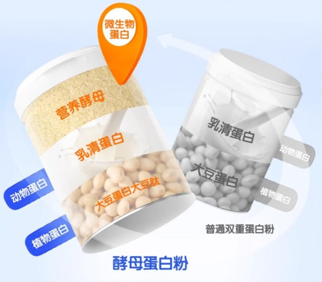 安琪纽特40酵母蛋白平衡肠道营养受追捧