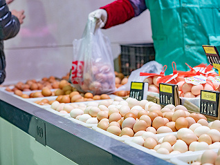 日本鸡蛋出口量大增40%，蛋商欲打造鸡蛋中的“保时捷”