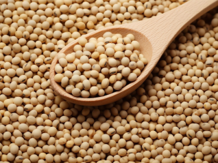 2023年豆粕市场现产能过剩，需求疲弱致利润预期降低