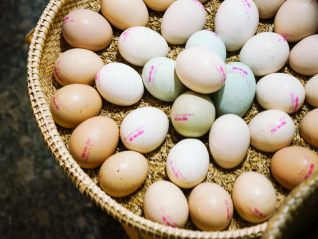 部分省份鸡蛋跌至“4元区”，2023年蛋价低位收官