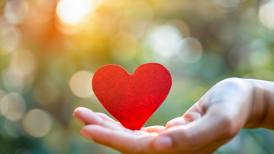 善意救助过程中过失肇事，检察机关不予起诉