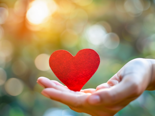 善意救助过程中过失肇事，检察机关不予起诉