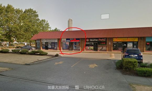 大温华人把加拿大鹅送去,结果连毛都没了