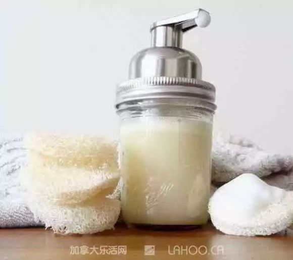 大温华人把加拿大鹅送去,结果连毛都没了