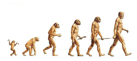 Процесс превращения человека в обезьяну. Превращение обезьяны в человека Эволюция. Закон необратимости эволюционных процессов иллюстрация. Роль труда в процессе превращения обезьяны в человека. Труд превратил обезьяну в человека.
