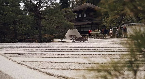 忘了世界杯和冰啤酒 我在京都庭院独享一片幽静 界面新闻 Jmedia