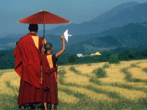 这个国家的足球队世界排名垫底,却拍出了最可