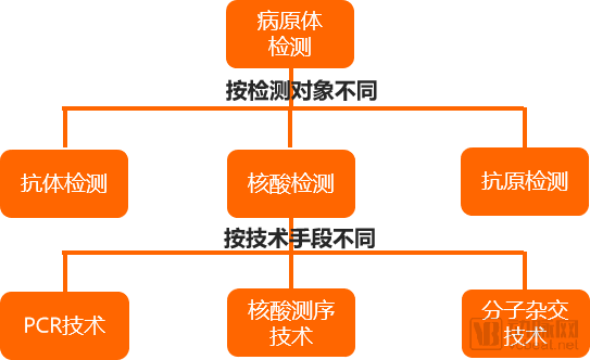 2019核酸檢測創新報告每年以超過15的速度增長2025年有望達260億元