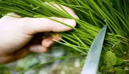 天山生物20天股价暴涨5倍，配资公司老板成最大赢家？