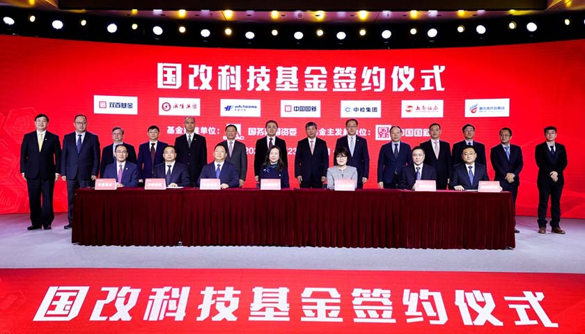浙江证券基金(浙江证券的股票)