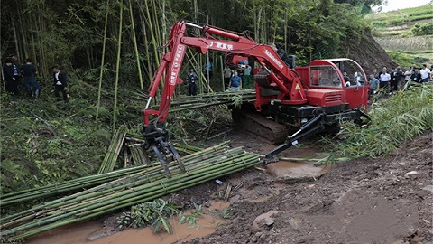 雅安雨城区竹产业新出路：实现40万亩竹资源向竹财富转变