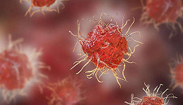 防疫和抗疫背后，B细胞有多重要？