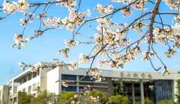 西安财经大学发布《陕西省2021年度消费环境指数（CEI）报告》