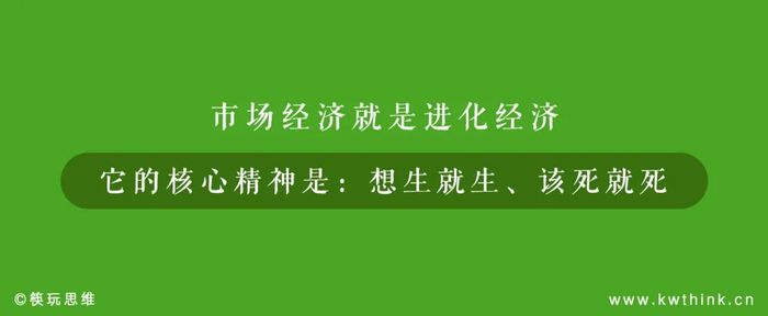 管家婆马报图今晚