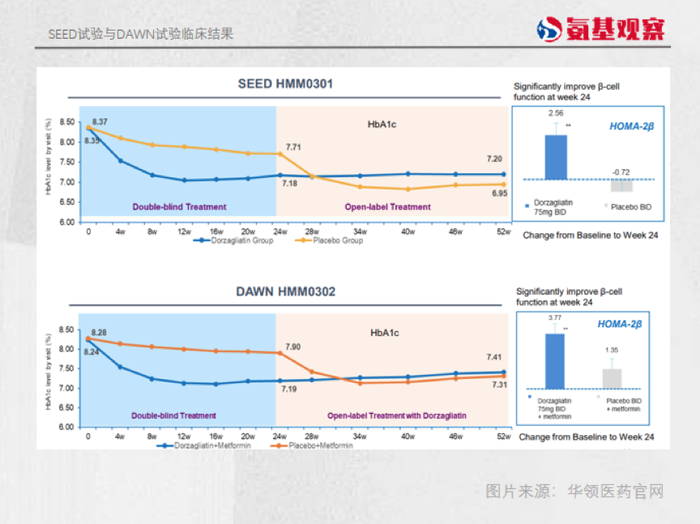 管家婆马报图今晚