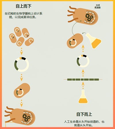 管家婆马报图今晚