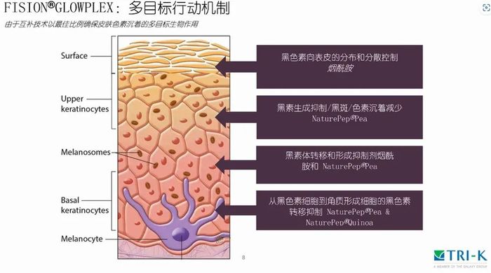 管家婆马报图今晚