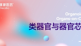 撥開概念“云霧”：類器官還是器官芯片？新技術(shù)需要“去偽存真”