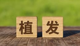 新生植發(fā)突發(fā)危機(jī)，曾合作這些場(chǎng)景分期機(jī)構(gòu)