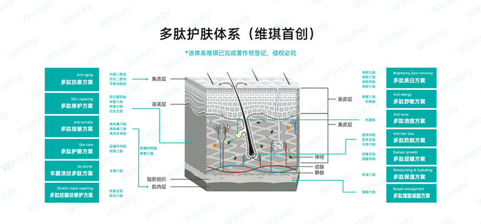 管家婆马报图今晚