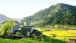 以旅游品牌创建引领乡村振兴行稳致远| 新乡市不断活跃文旅经济助力乡村振兴发展