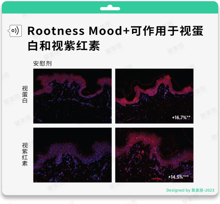 管家婆马报图今晚